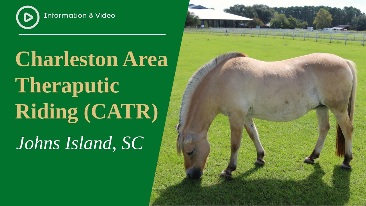 Charleston Area Therapeutic Riding (CATR)