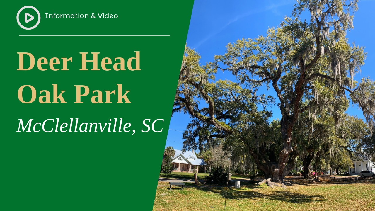 Deer Head Oak Park