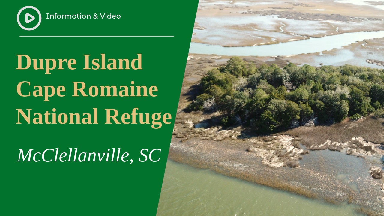 Dupre Island, Cape Romain National Wildlife Refuge