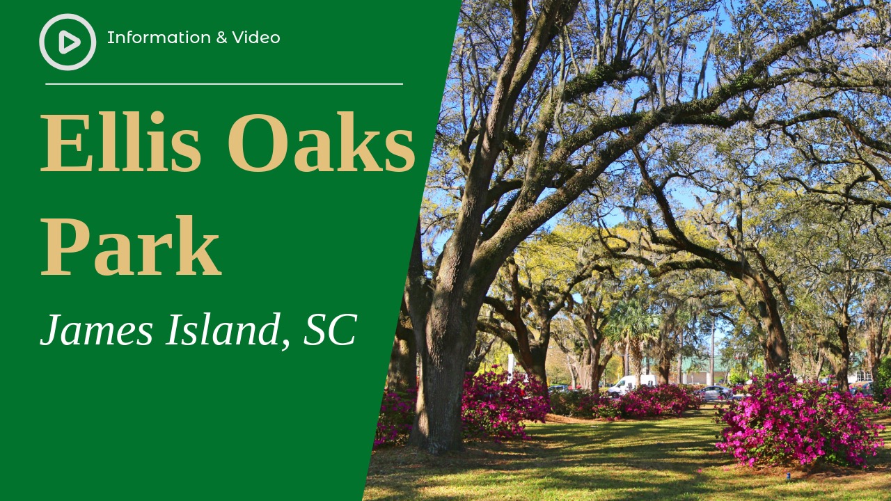 Ellis Oaks Park