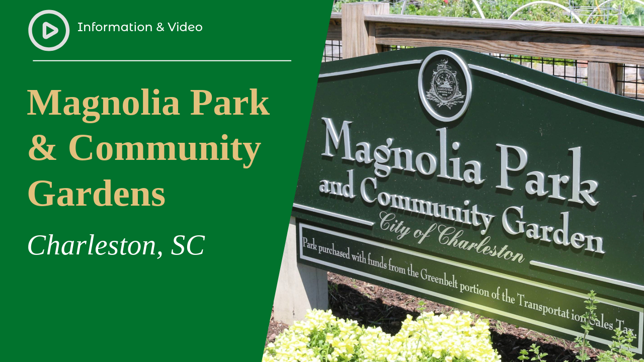 Magnolia Park and Community Gardens