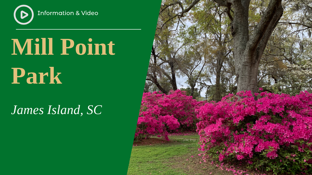 Mill Point Park