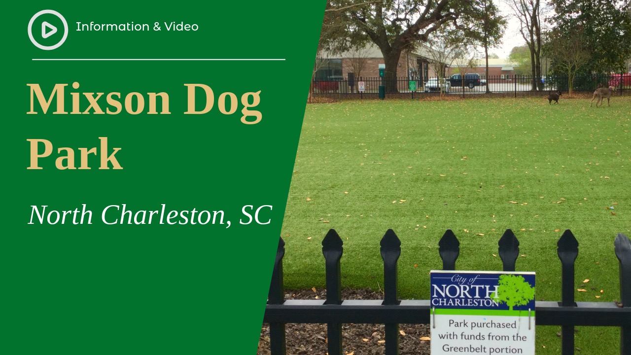 Mixson Avenue Dog Park