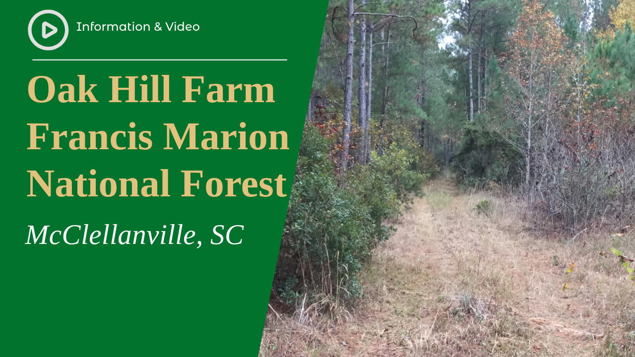 Oak Hill Farm, Francis Marion National Forest