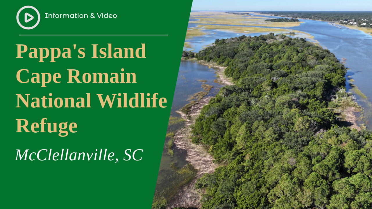 Pappa's Island, Cape Romain National Wildlife Refuge
