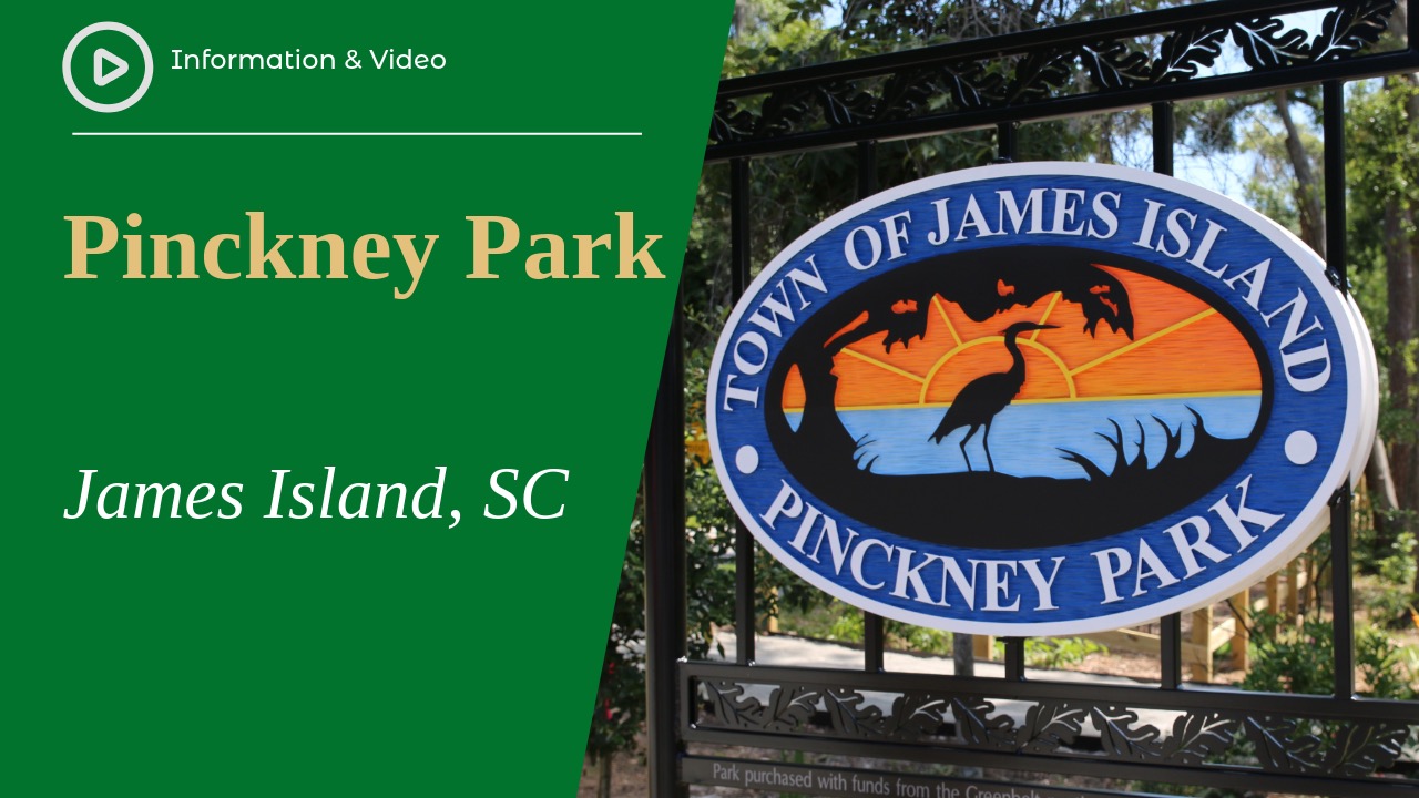 Pinckney Park