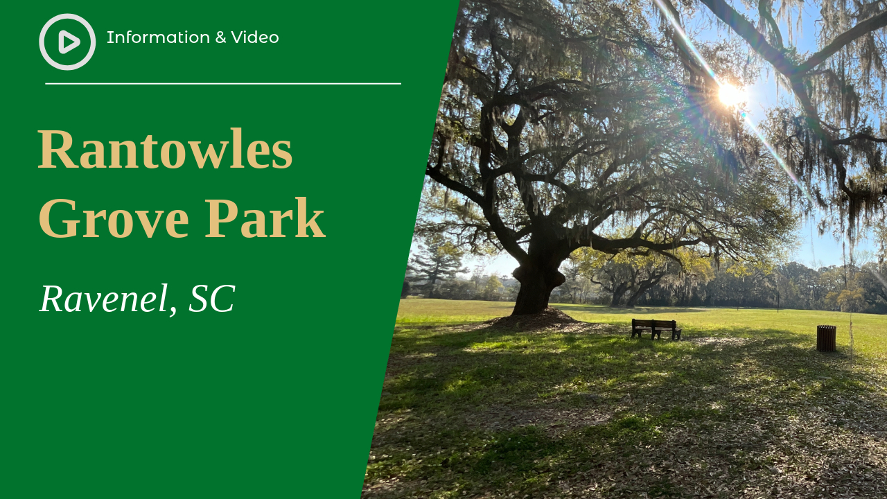 Rantowles Grove