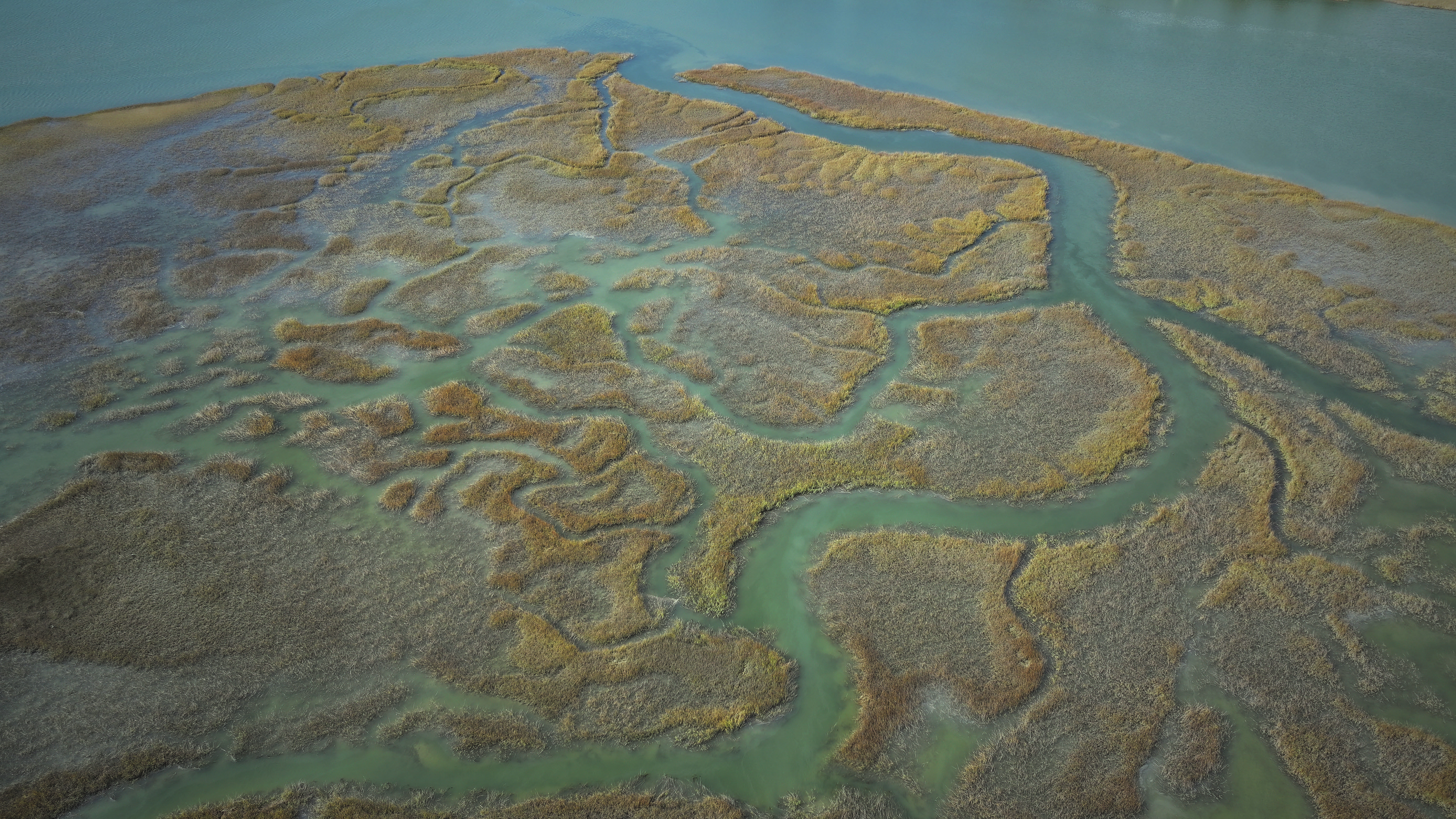First slide: Green landscapes