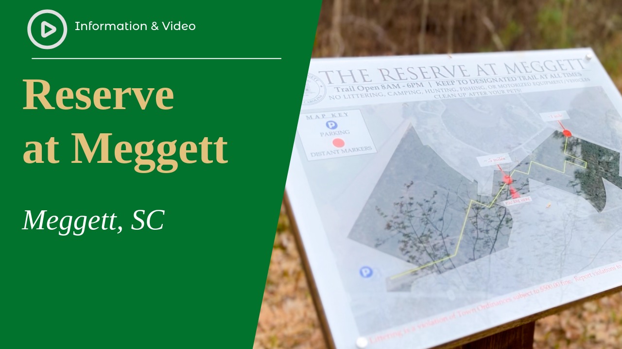 Reserve at Megget