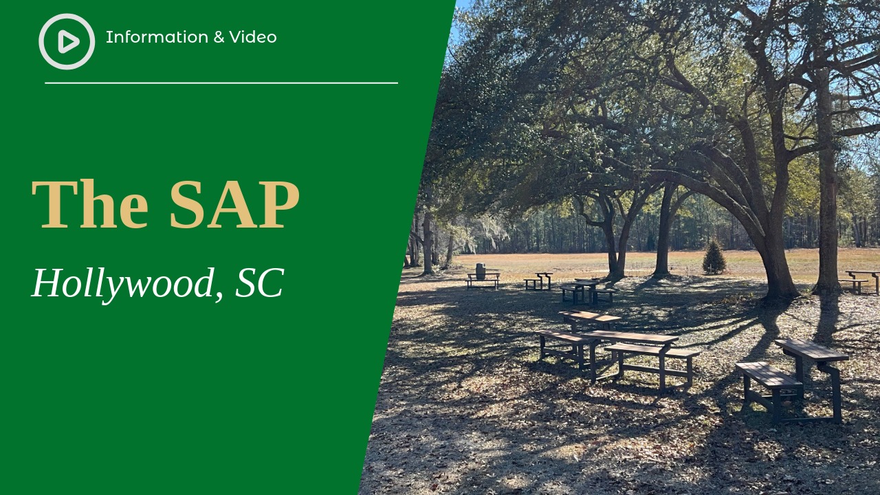 The SAP