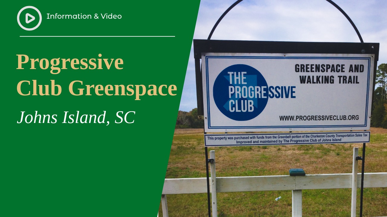 Progress Club Greenspace
